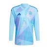 Maillot de Gardien à Manches Longues Espagne Euro 2024 Bleue Pour Homme